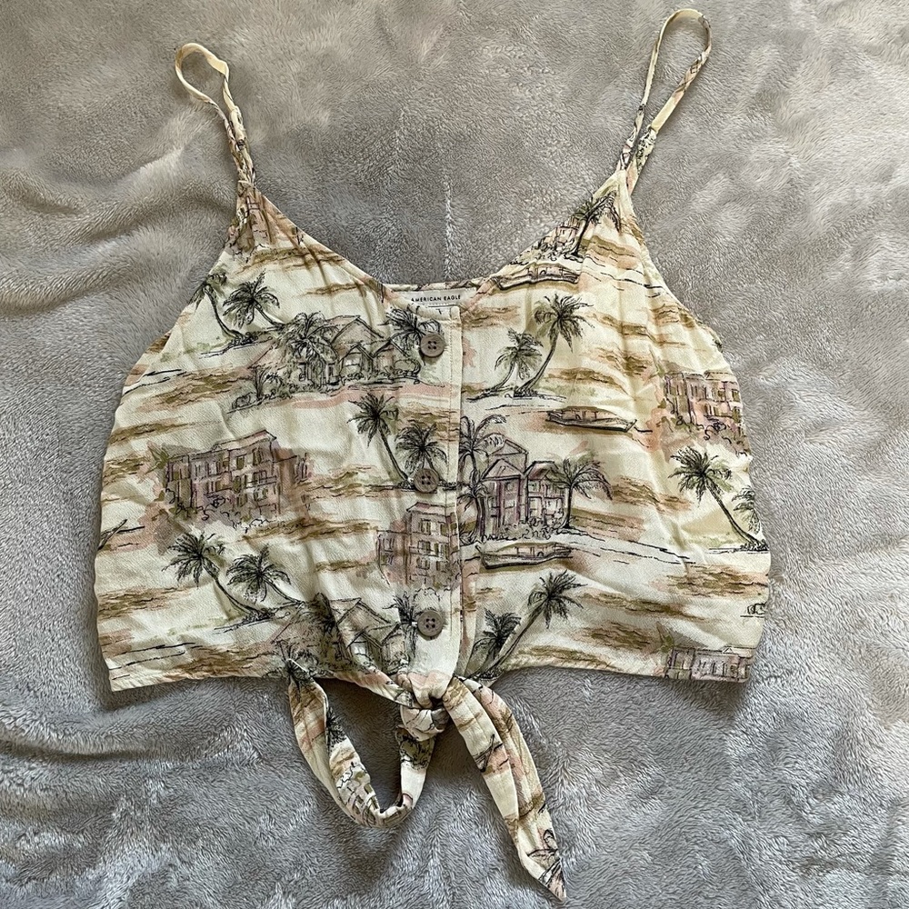 American Eagle Crop Top